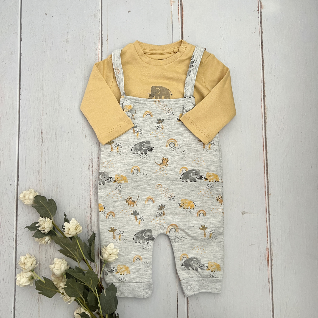 Overol y Camiseta Gris Elefantes