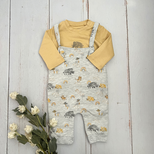 Overol y Camiseta Gris Elefantes