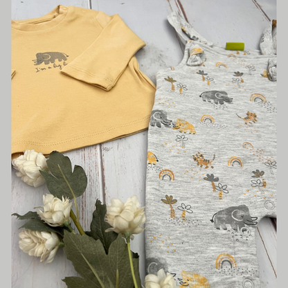 Overol y Camiseta Gris Elefantes